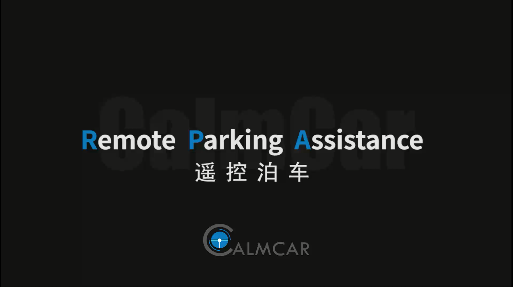 Remote Parking Assistance